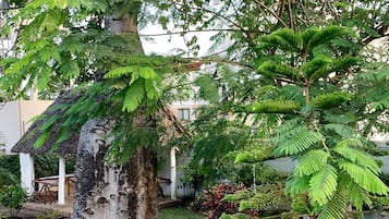 Jardín