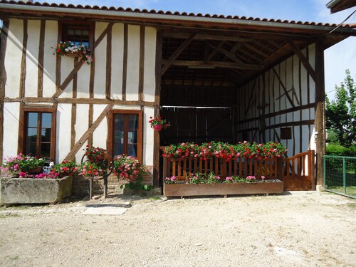 Lepää keskellä hevosia