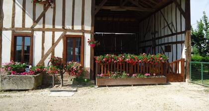 Lepää keskellä hevosia