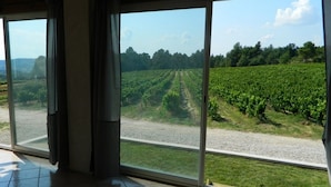 A room with large windows overlooking a vineyard.