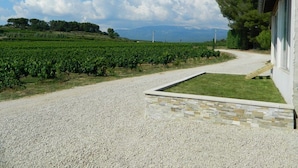 A gravel driveway leading to a building with a stone border and a grassy area.