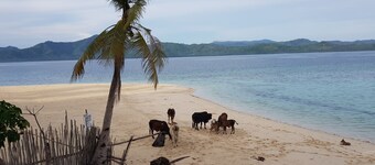 Backpackers Island Beach Camp - Adults Only