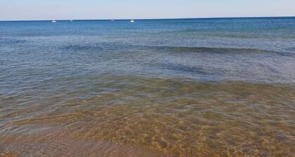 Triscina 83, Selinunte