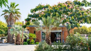 Garden - Camping Au Paradis des Campeurs (Roquebrune-sur-Argens)