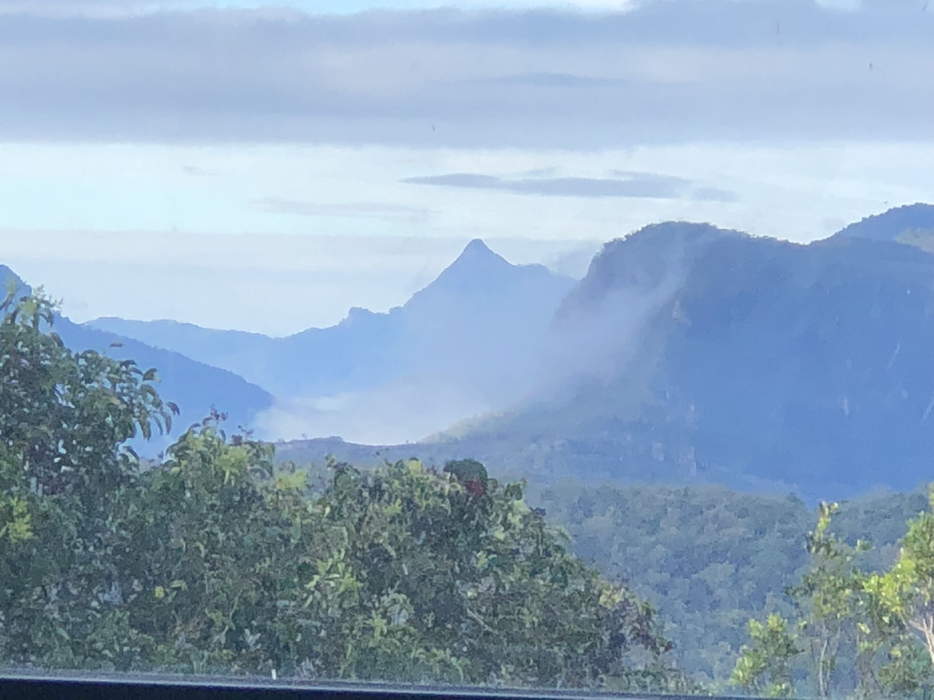 Jardin: Your Peaceful Garden Escape in Gold Coast Hinterland — image 6