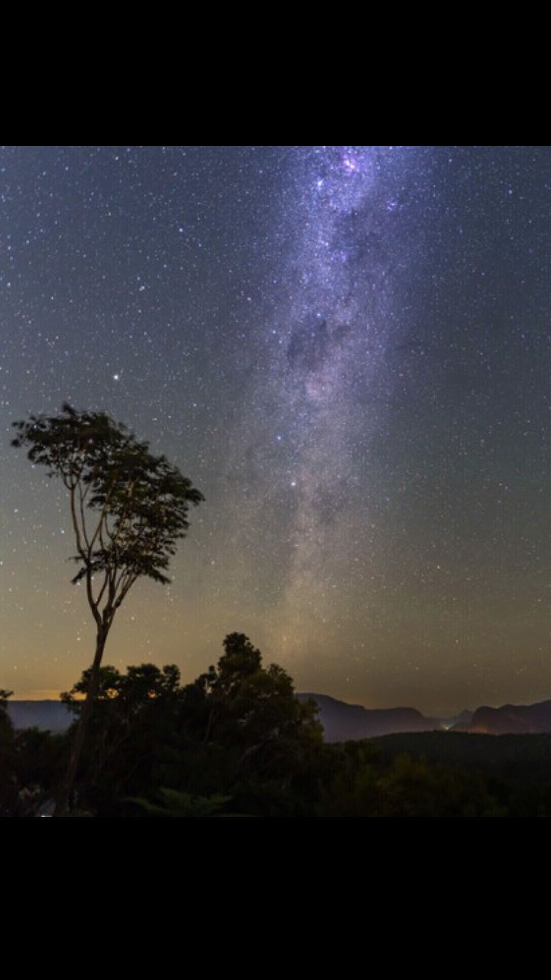 Jardin: Your Peaceful Garden Escape in Gold Coast Hinterland — image 2