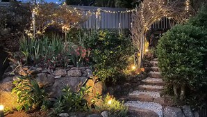 A garden pathway with stone steps, surrounded by various plants and illuminated by string lights. - Jardin Tiny House (Beechmont)