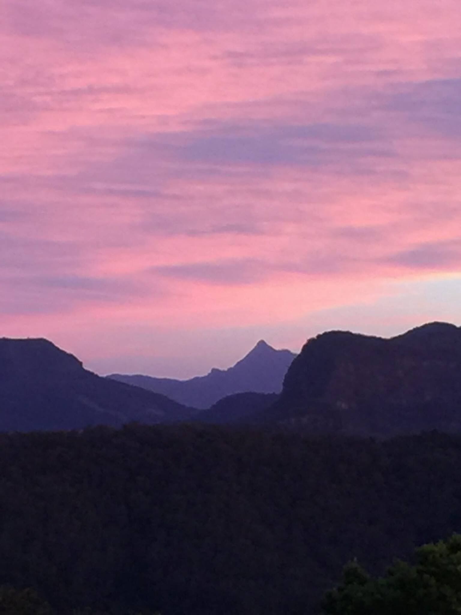 Jardin: Your Peaceful Garden Escape in Gold Coast Hinterland — image 5