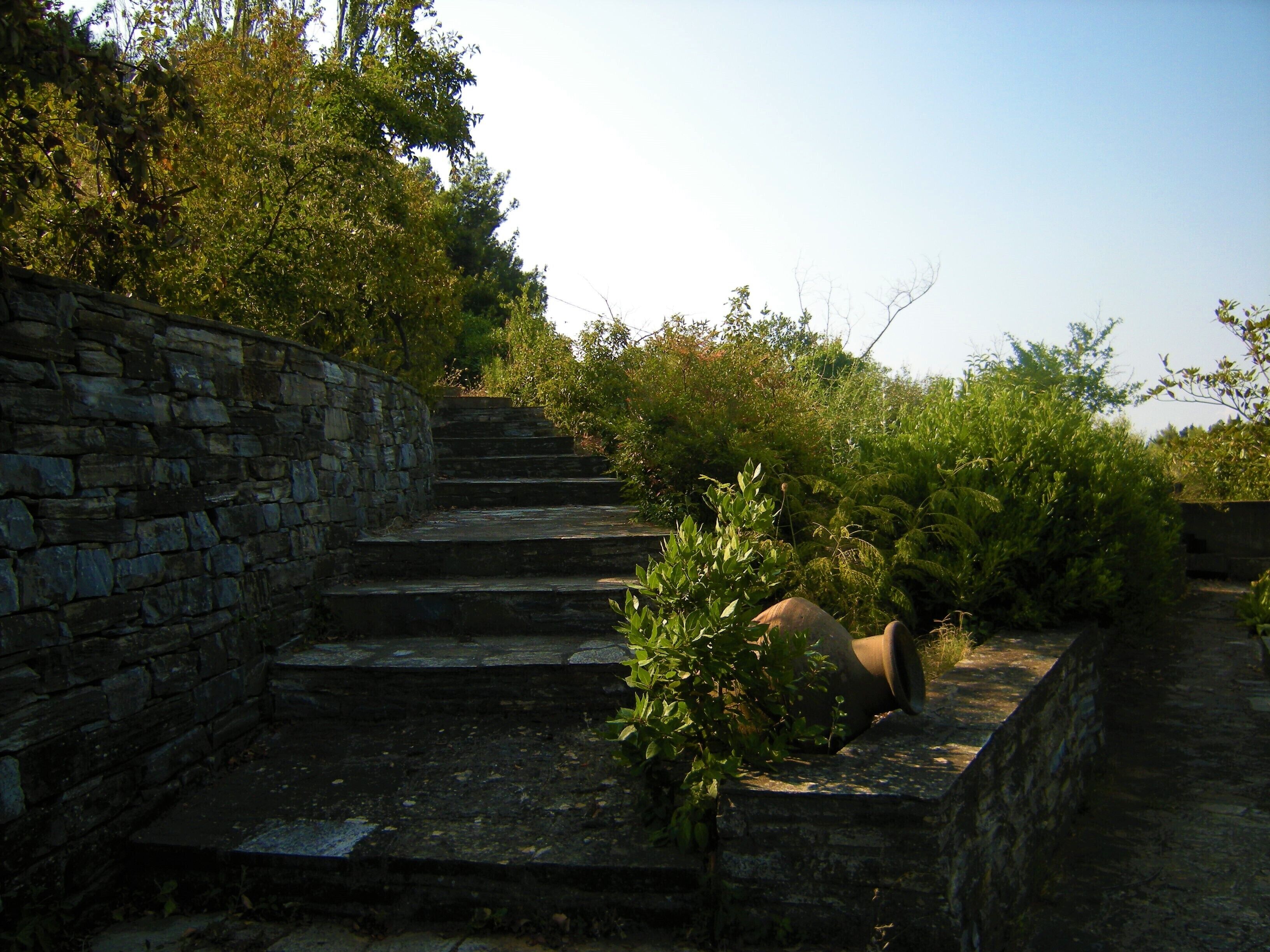 A stone staircase leading up a hill, surrounded by greenery.