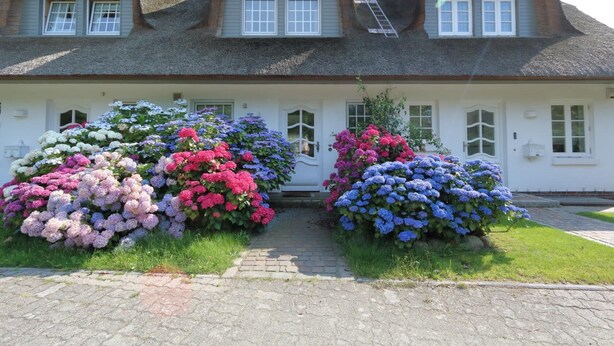 A two-story house with a thatched roof, a front door, and a small porch. - Welcome to Haus Ruusenhoog, the versatile vacation home located in picturesque Braderup (Braderup)