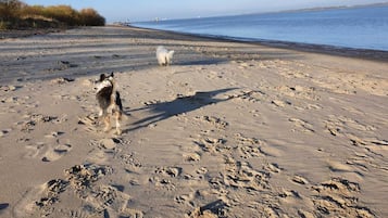 Beach nearby, beach towels