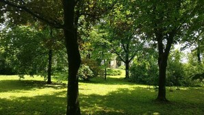 A park with trees and grass. - A spacious vacation rental perfect for family getaways: games, nature, and tranquility (Villotte-sur-Aire)