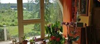 Stort familjhus med stora utrymmen och stor park.