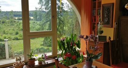 Large, comfortable house with games room, wooded park, brazier, pétanque.