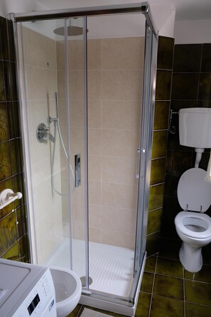 Shower, hair dryer, bidet, towels