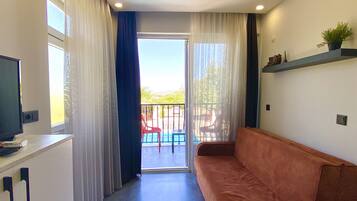 Télévision, livres