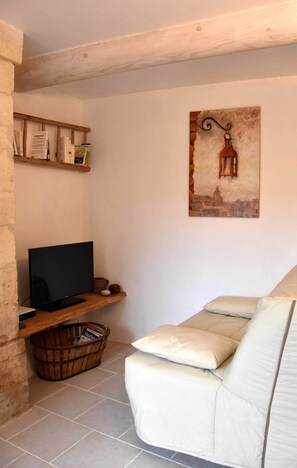 Televisión y libros 