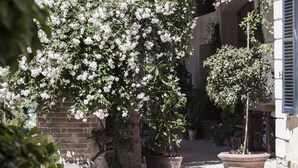 Une cour avec un mur en briques, des plantes en pot et un petit arbre.