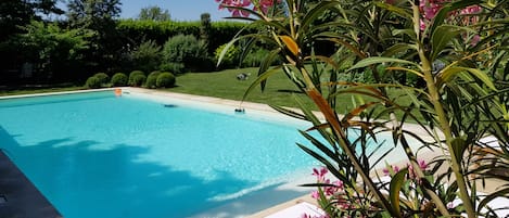 Seasonal outdoor pool, open 10:00 AM to 7:00 PM, sun loungers