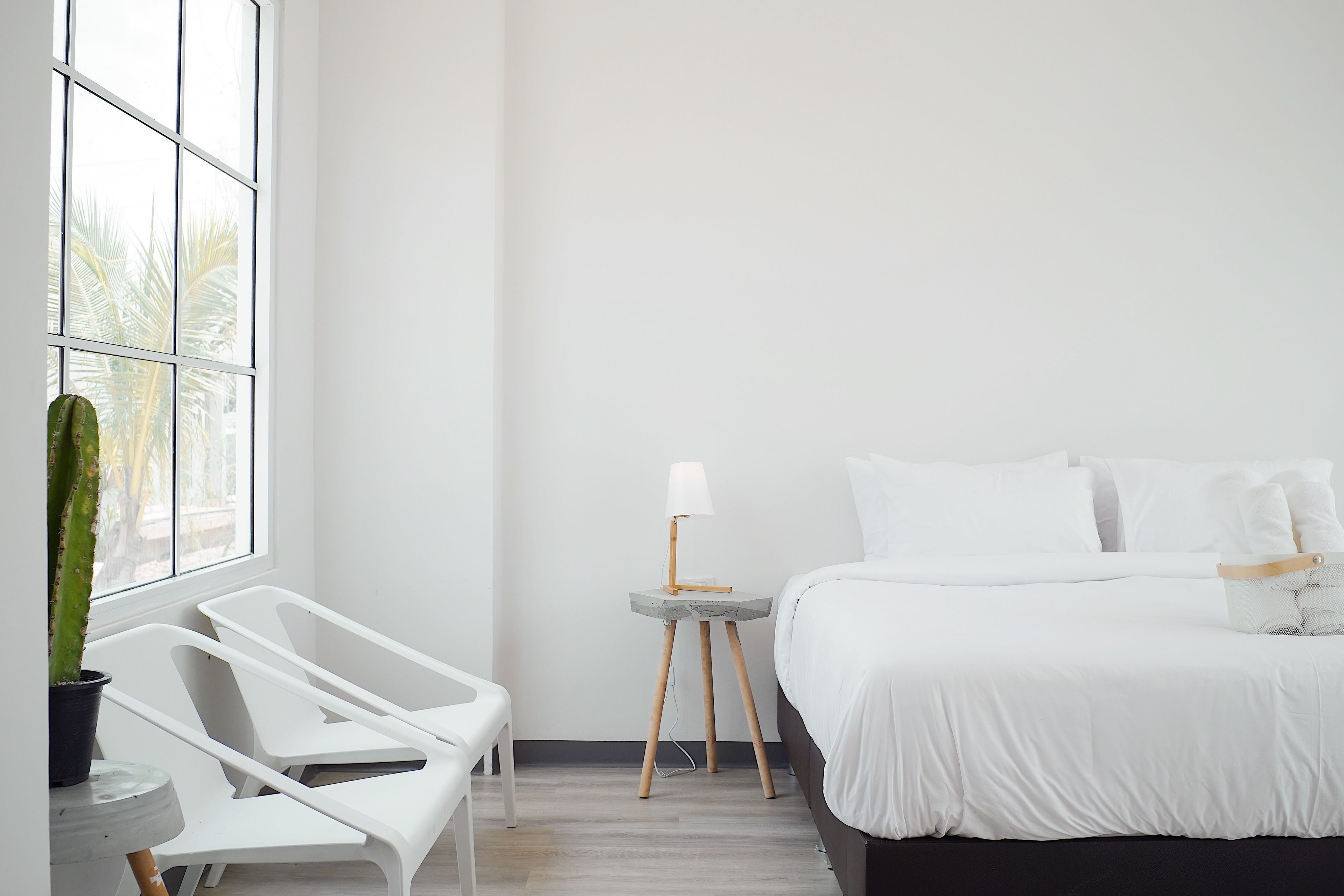 A modern hotel room with a bed, a small table with a lamp, a chair, and a potted plant.