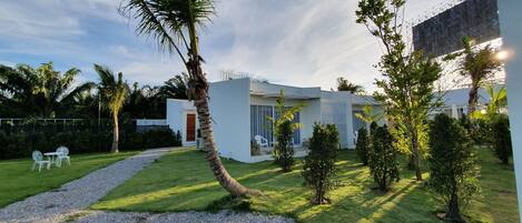 A modern house with a well-maintained lawn, a gravel path, and a palm tree.