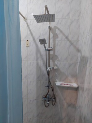 Combined shower/bathtub, jetted bath, rainfall showerhead, bidet