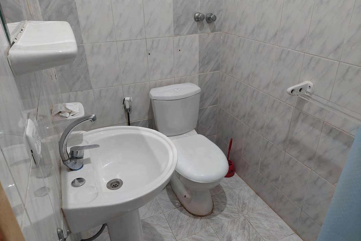 combined shower/bathtub, jetted bath, rainfall showerhead, bidet