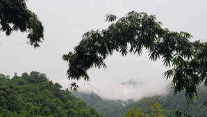 A lush, green landscape with a calm lake surrounded by dense forest and mist. - Tran Xuan Homestay - Hostel (Ba Be)