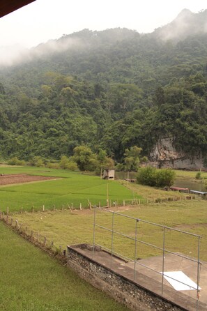 Bed in 12-Bed Mixed Dormitory | View from room