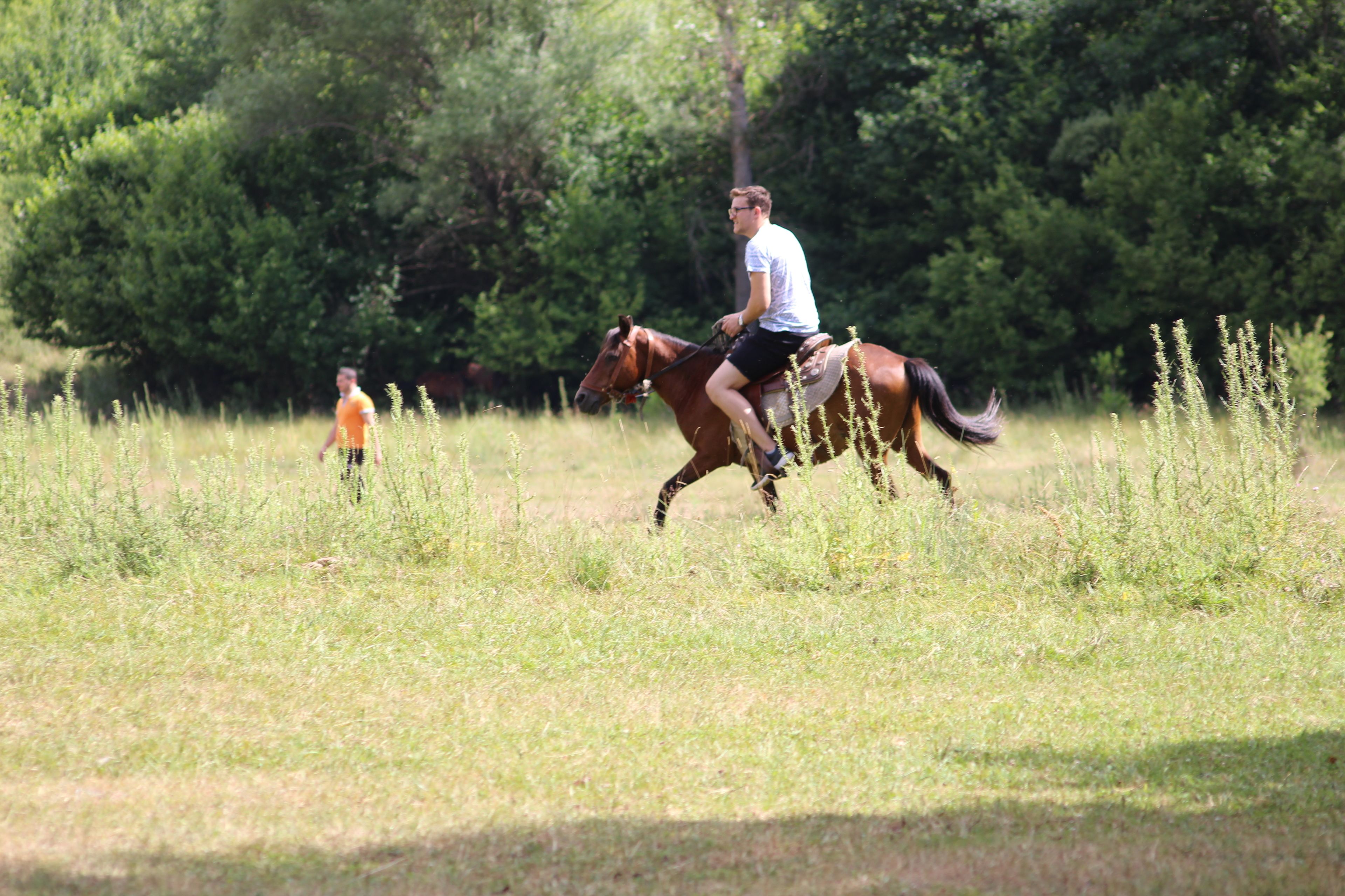 A person riding a horse in a grassy field with trees in the background.