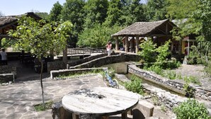 A rustic outdoor area with stone pathways, a wooden table, and a bicycle. - Farma Sotira (Leskovik)