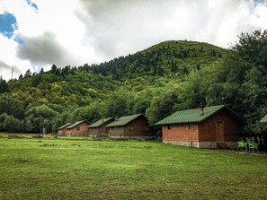 マウンテン ビュー