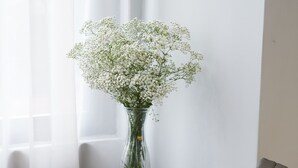 Un bureau avec un vase de fleurs, un presse-papiers et une chaise.