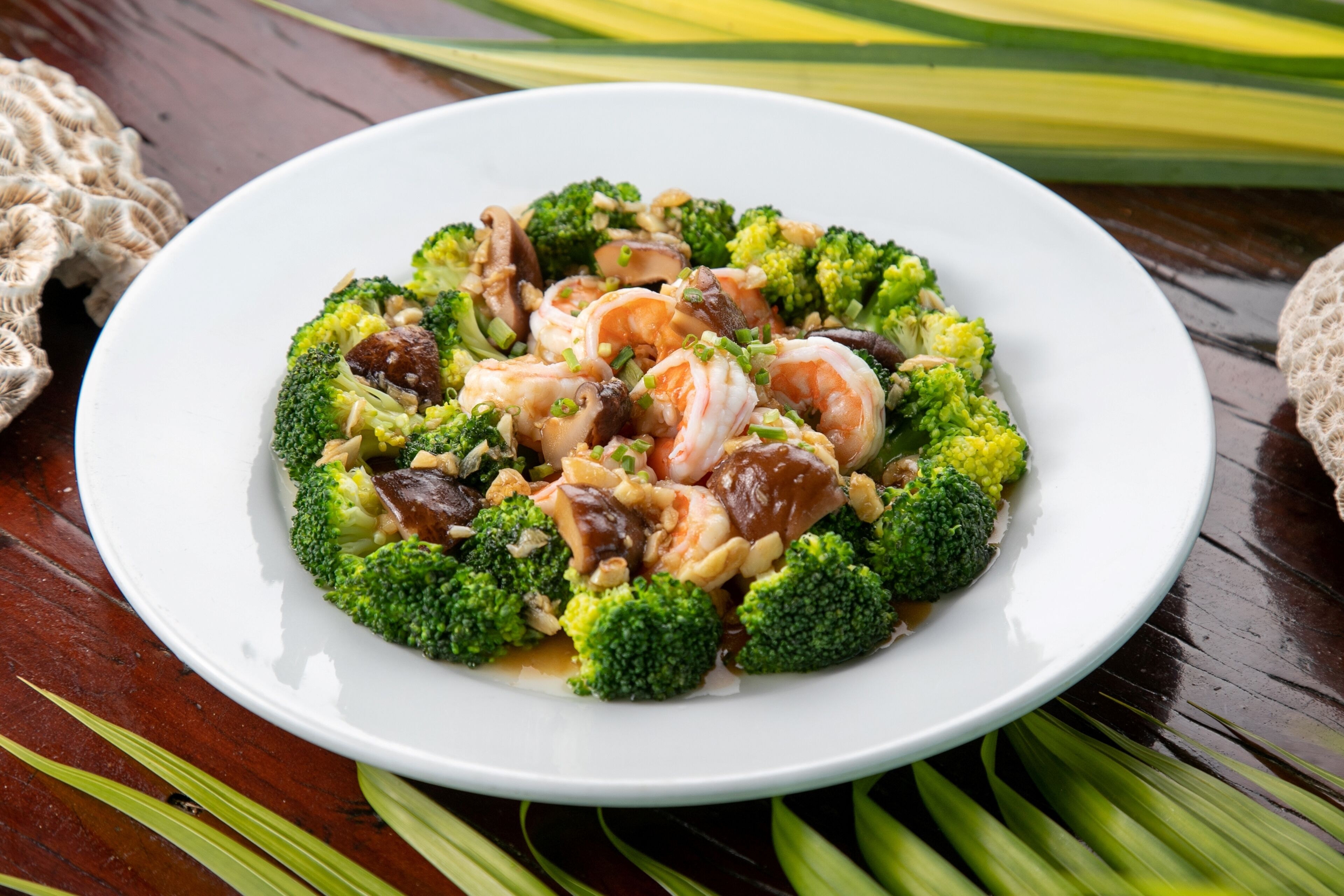 A plate of stir-fried broccoli and shrimp on a white plate.