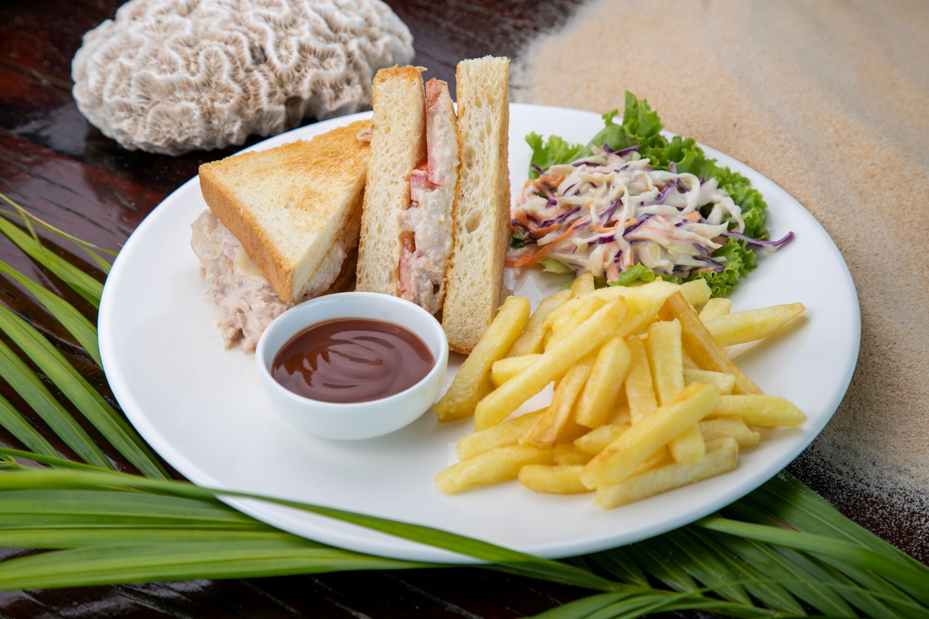 Un plato con un sándwich, papas fritas, ensalada de col y un recipiente pequeño con salsa.