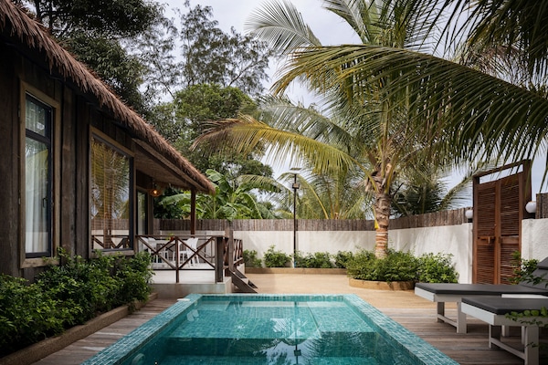 Una piscina al aire libre, sombrillas, sillones reclinables de piscina