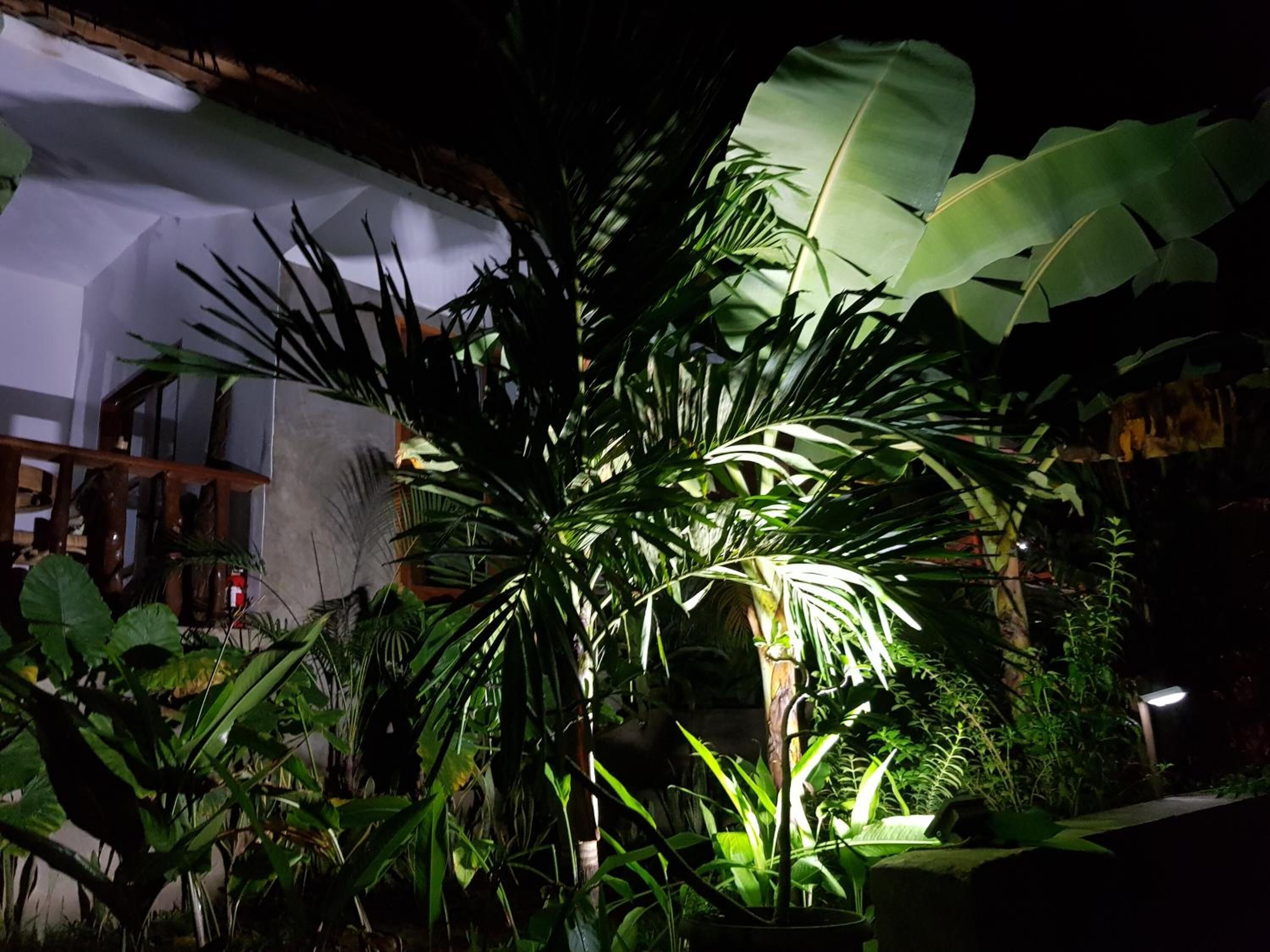 Jardines del alojamiento