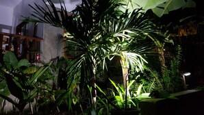 A lush indoor garden with various tropical plants, including large banana leaves, under artificial lighting. - La Colonial Resort - Adults Only (El Nido)