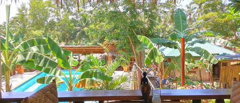Deluxe Suite, 1 King Bed, Pool View | View from room