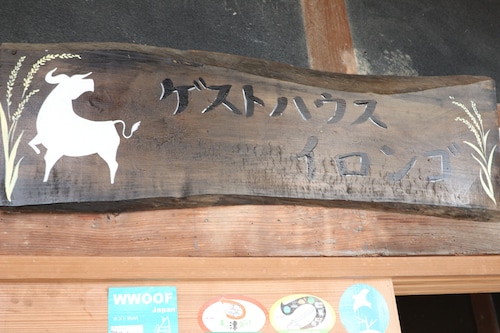 フロント