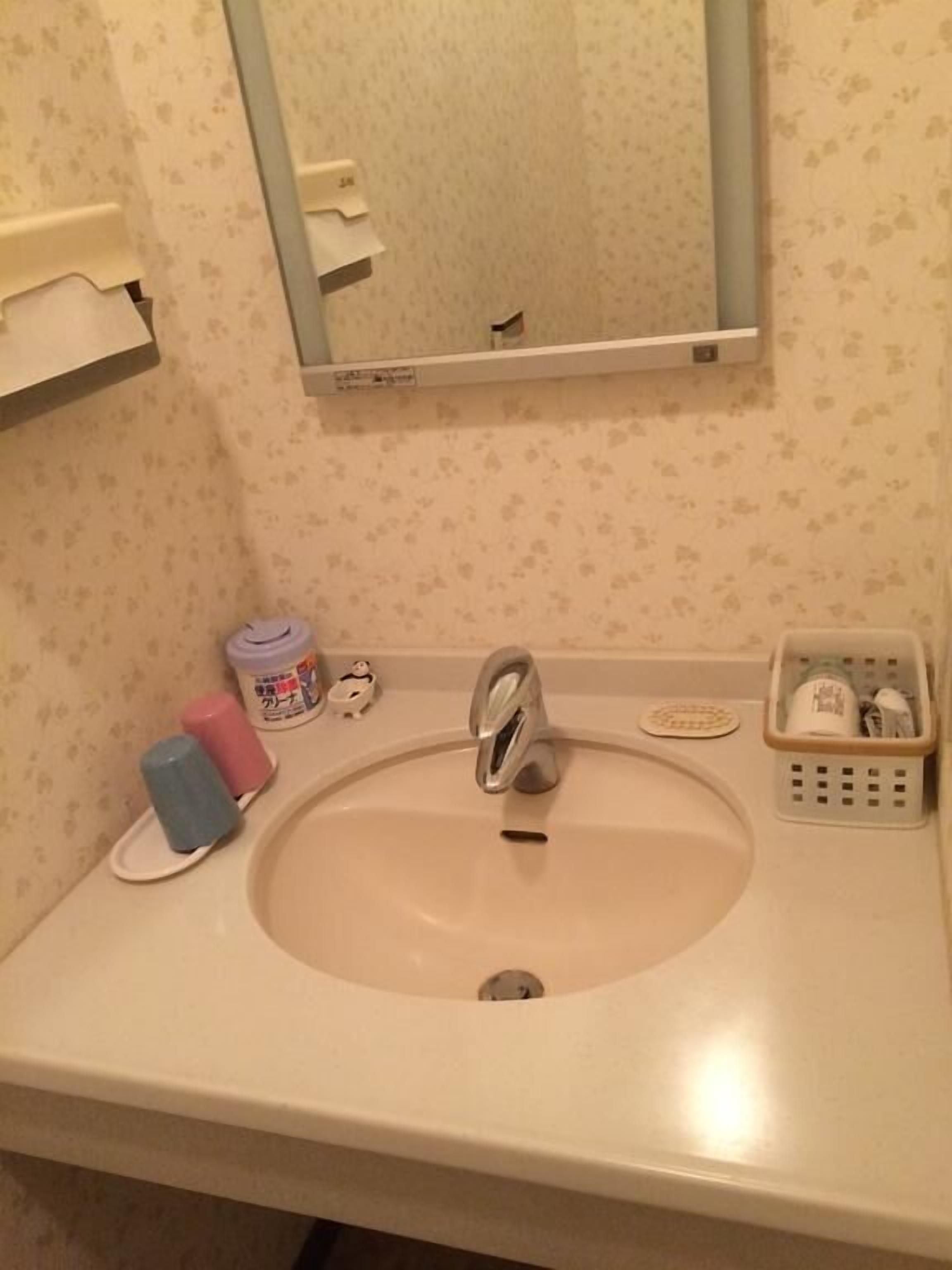 A bathroom with a sink, mirror, and toiletries.