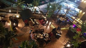 Een terras met tafels en stoelen, omgeven door potplanten en palmbomen.
