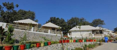 A row of white-roofed buildings with stone walls and colorful potted plants in front.