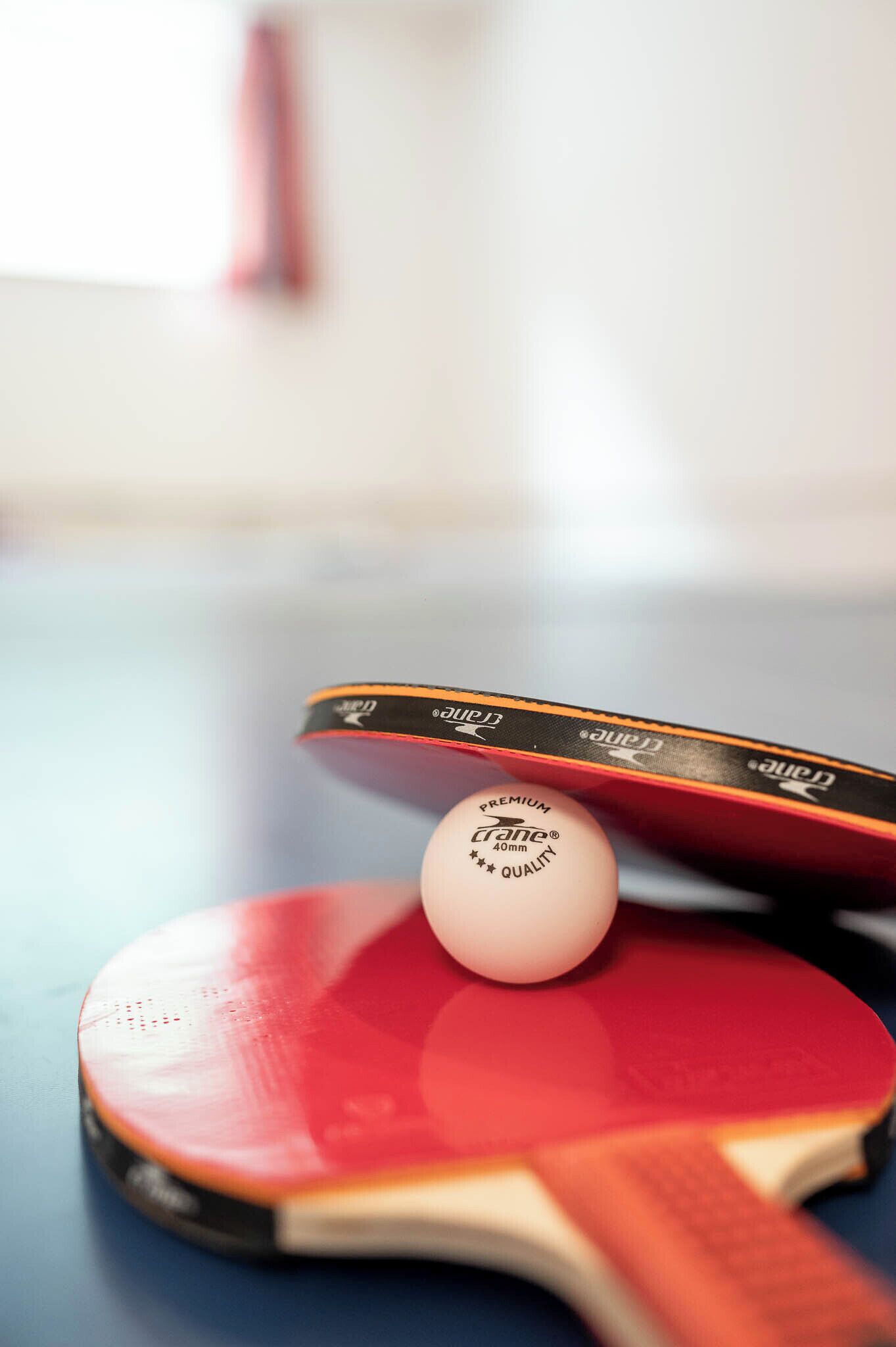 Ein Tischtennis-Schläger mit einem Ball darauf.