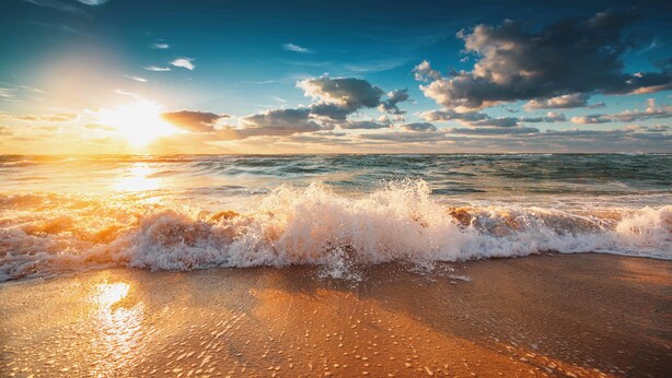 Playa
