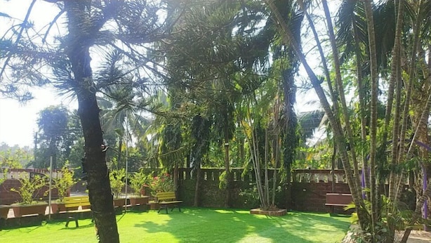 Un jardí ben cuidat amb diverses plantes i un pràt ben tallat.
