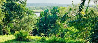 33 The Bridge Resort