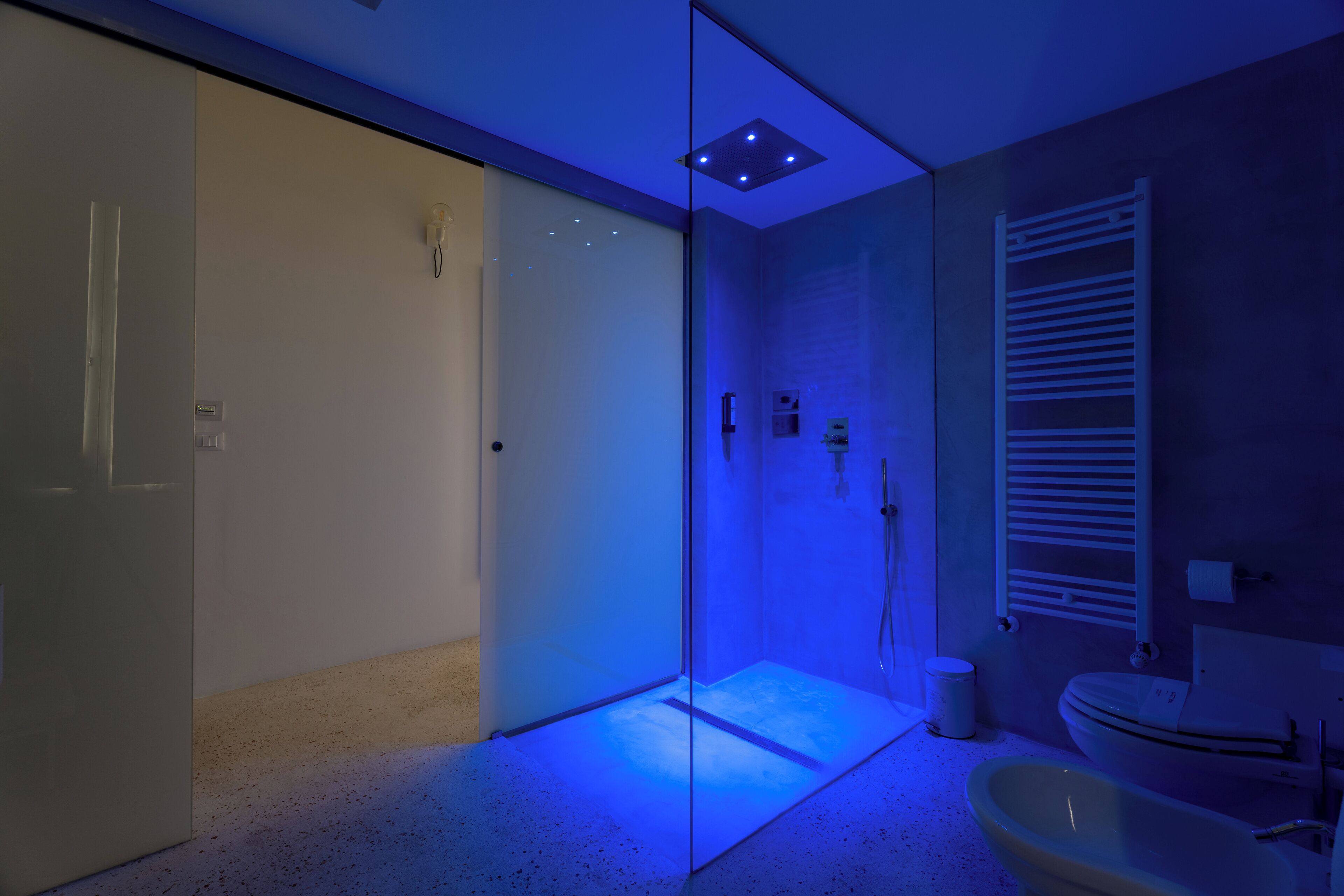 A modern bathroom with a glass shower enclosure, a toilet, and a sink.