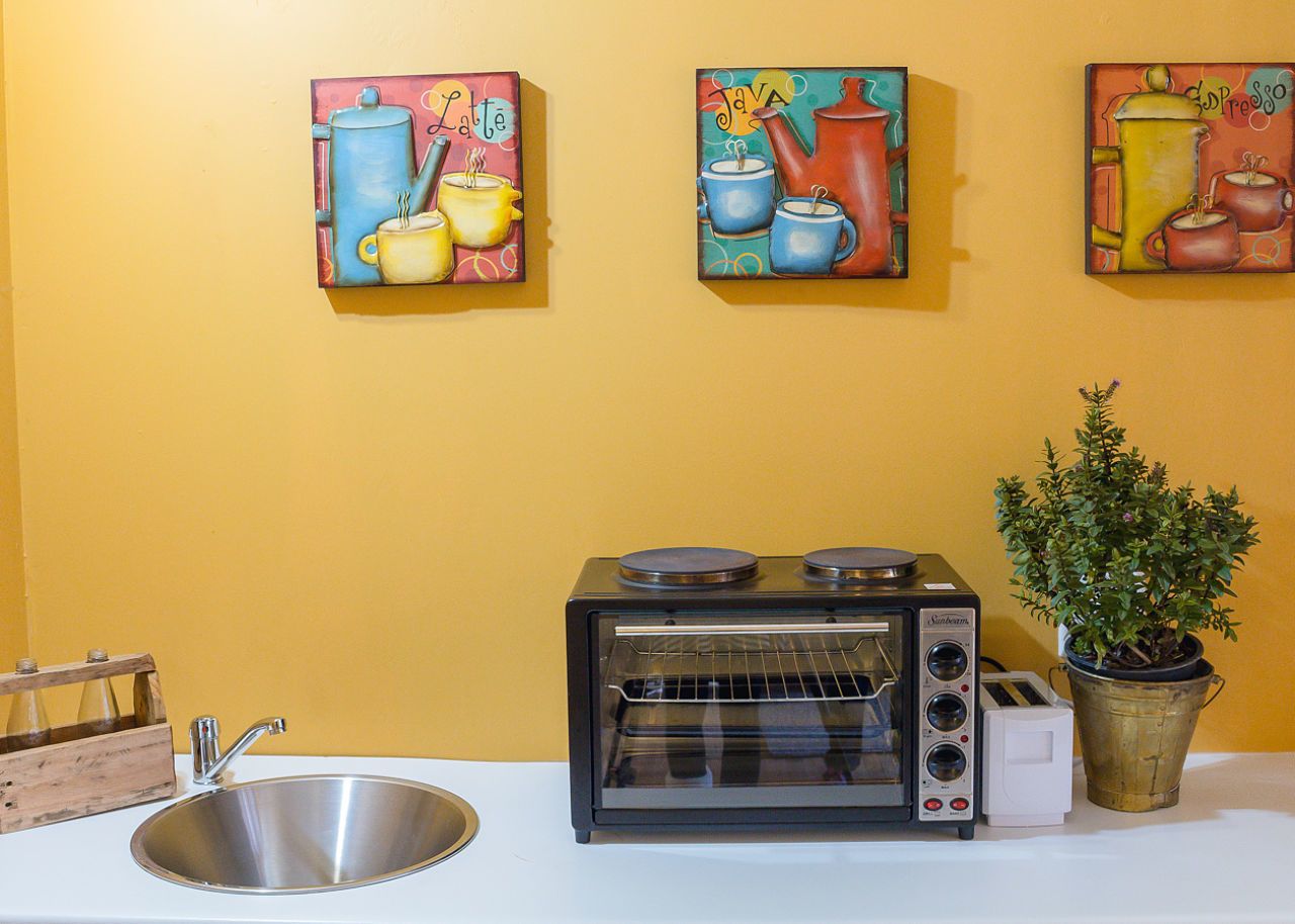 A kitchenette with a toaster oven, a sink, and a potted plant.