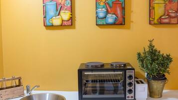 A kitchenette with a toaster oven, a sink, and a potted plant.